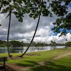 At the Waiakea Pond (HDR)