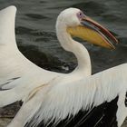 At the Walvis Bay Waterfront