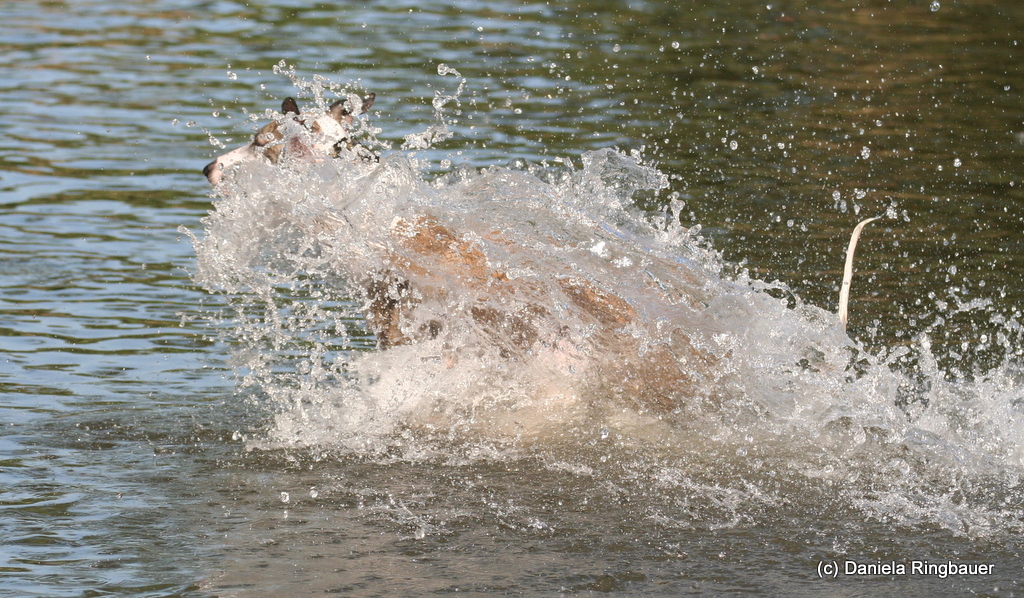 at the water