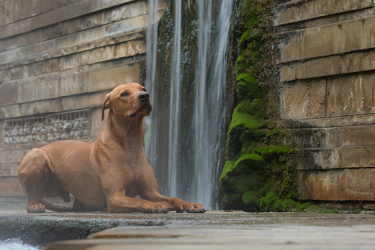 at the waterfalls