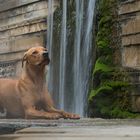 at the waterfalls