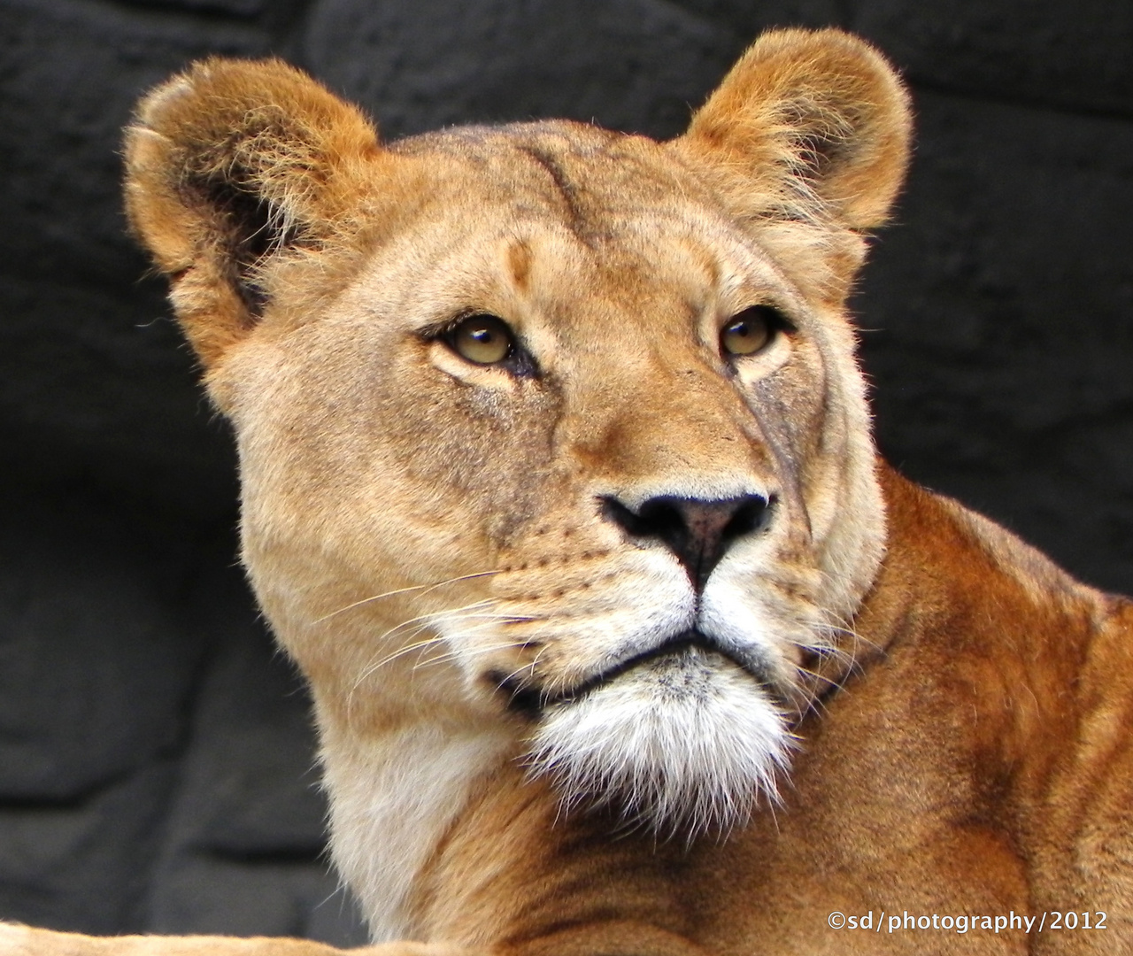 at the zoo in hamburg 2