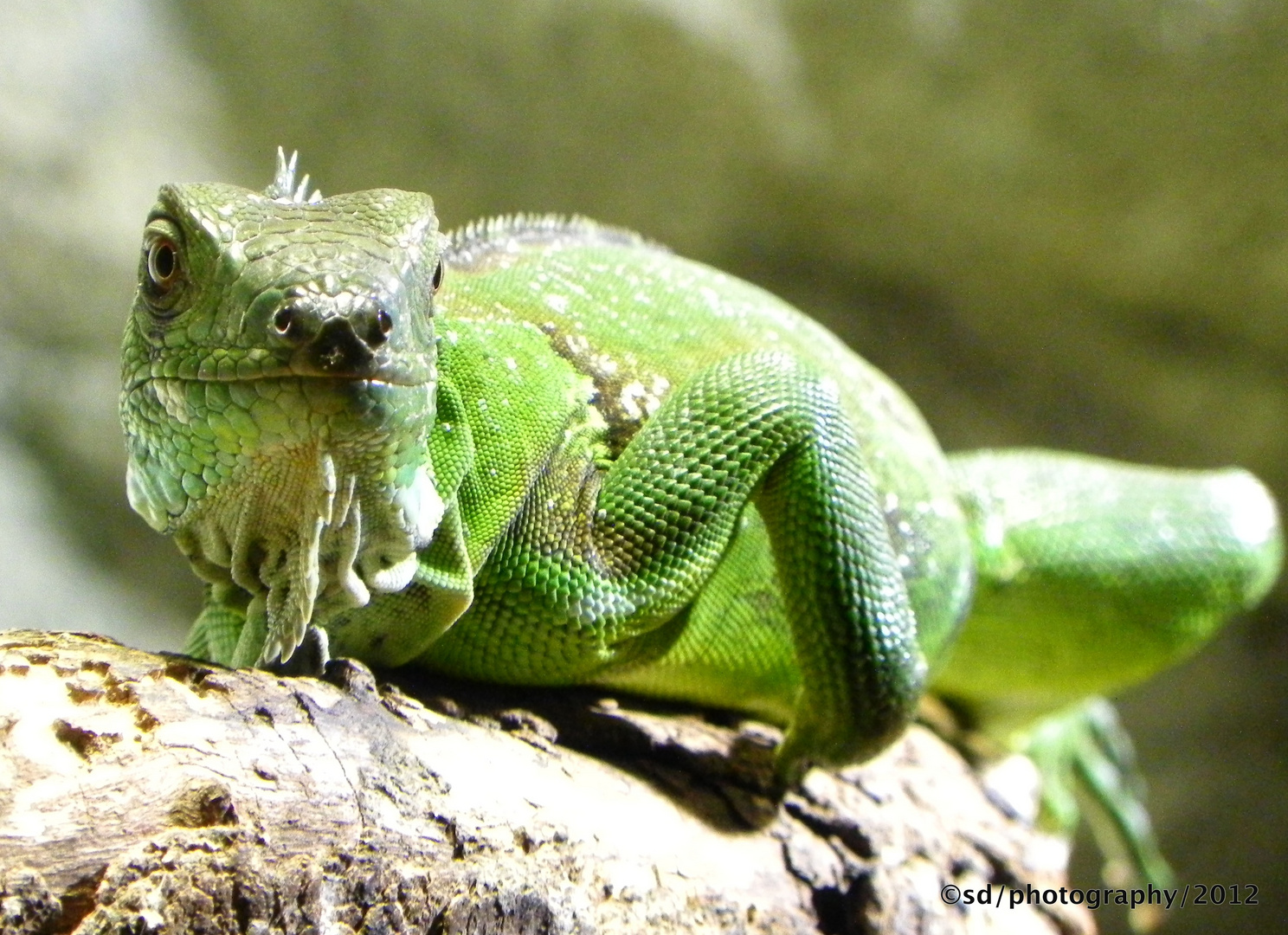 at the zoo in hamburg