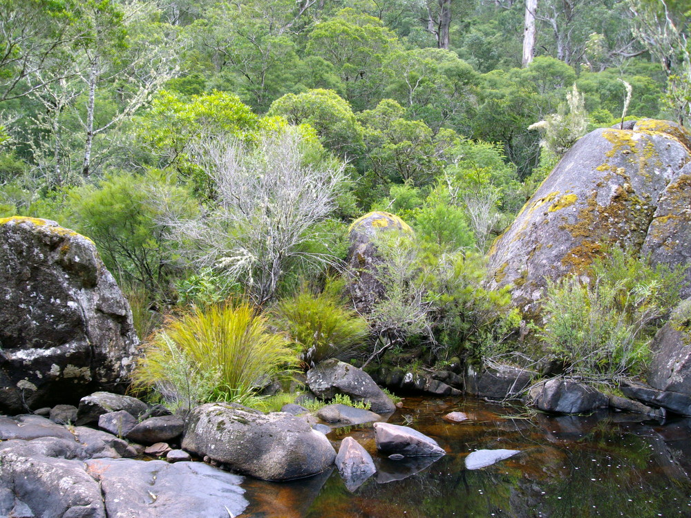 At Wingan River in East Gippsland Victoria Australia