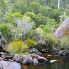 At Wingan River in East Gippsland Victoria Australia