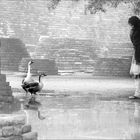 At world heritage site "Stupaa of Sanchi"