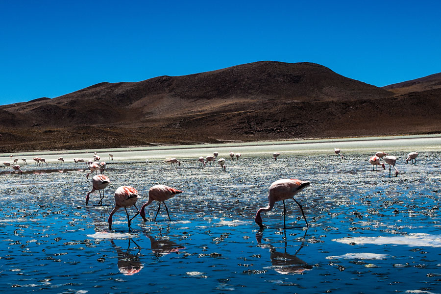 ATACAMA