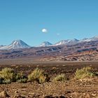 Atacama