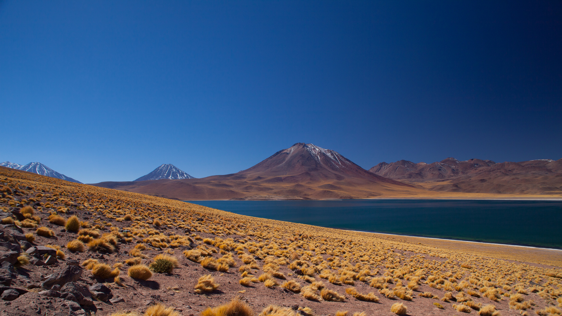 Atacama Altiplano