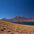 Atacama Altiplano