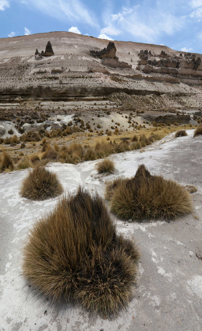 Atacama