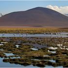 Atacama / Chile