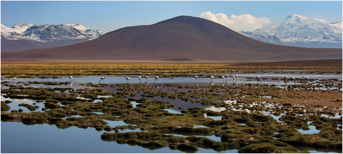 Atacama / Chile by I..K. 