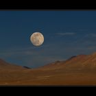 ... atacama desert ...