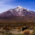 Atacama Dessert