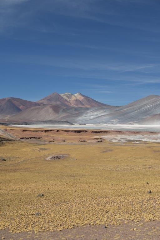 Atacama - die Wüste lebt!