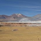 Atacama - die Wüste lebt!