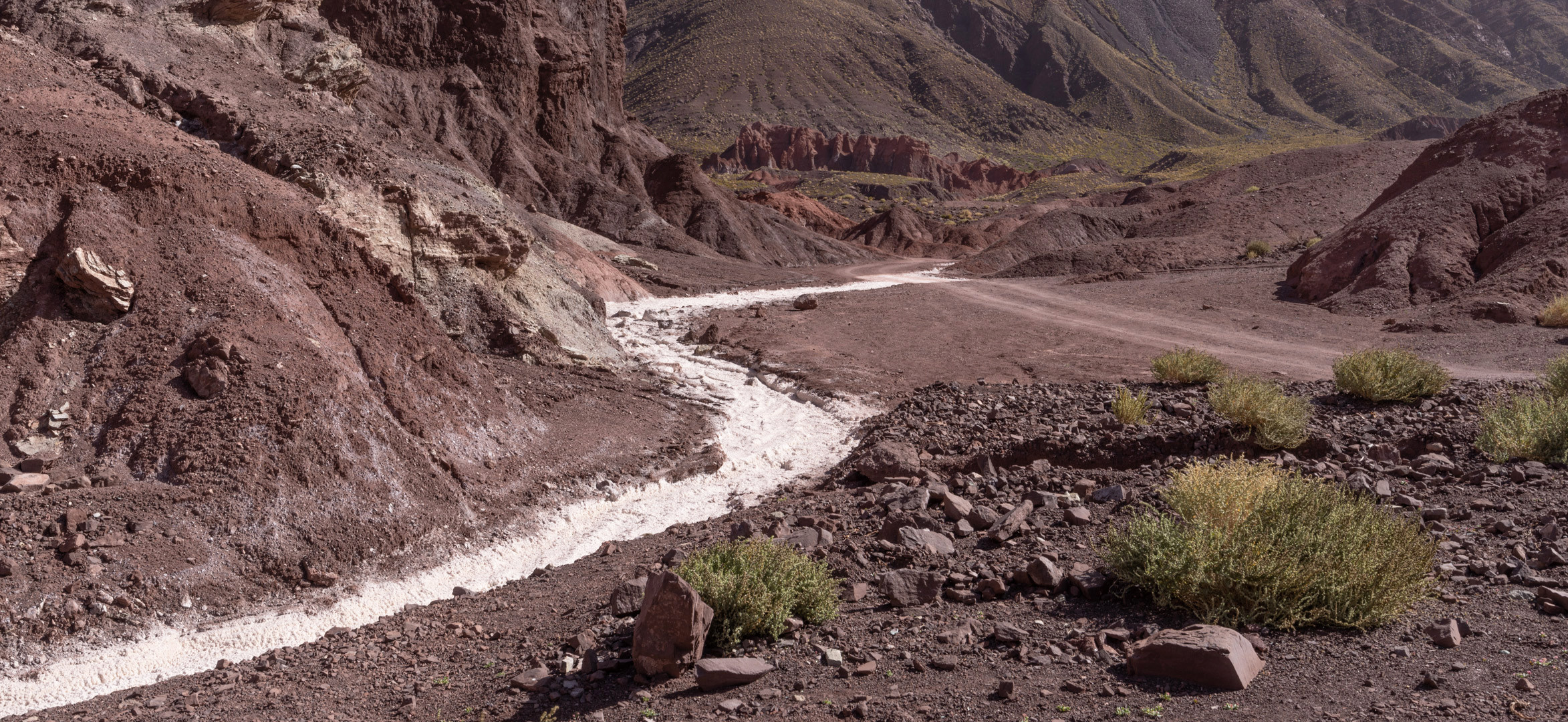 atacama impressionen #14