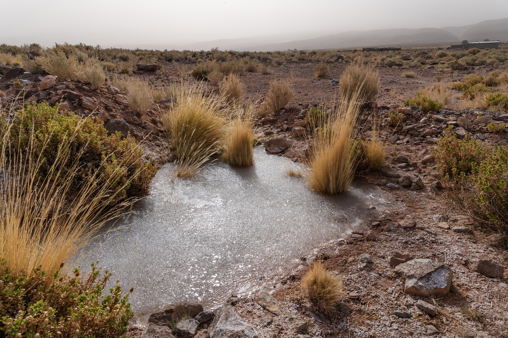 atacama impressionen #20