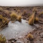 atacama impressionen #20