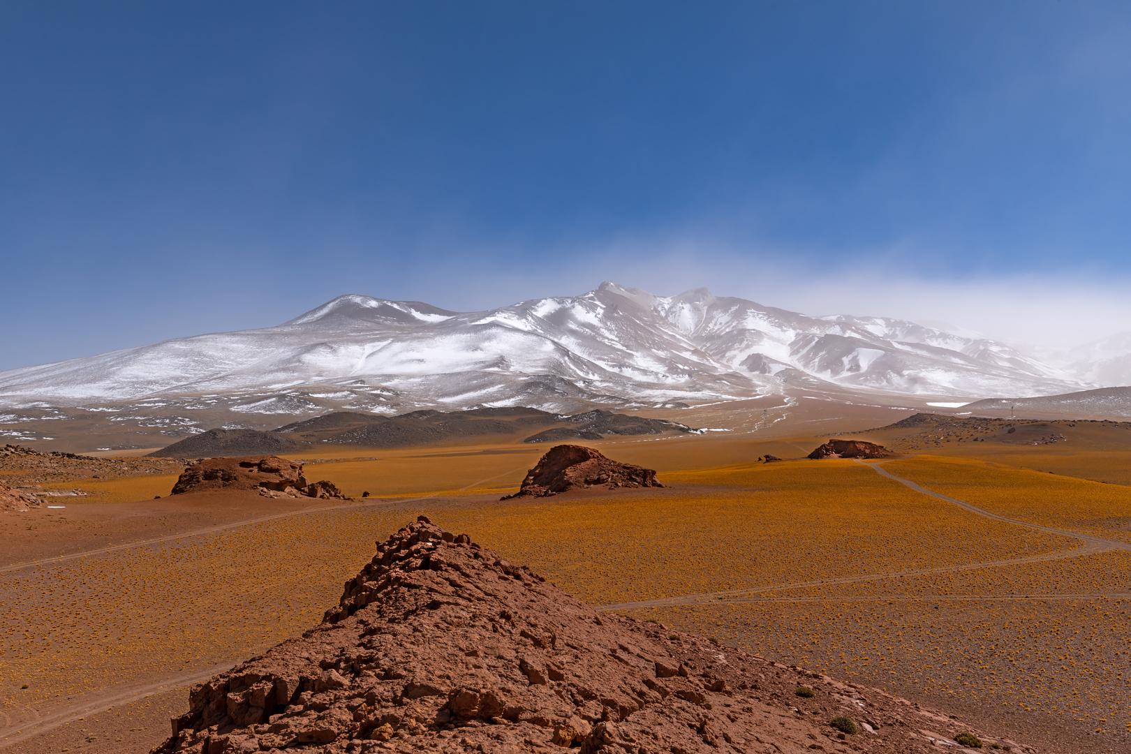 atacama impressionen #25