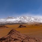 atacama impressionen #25