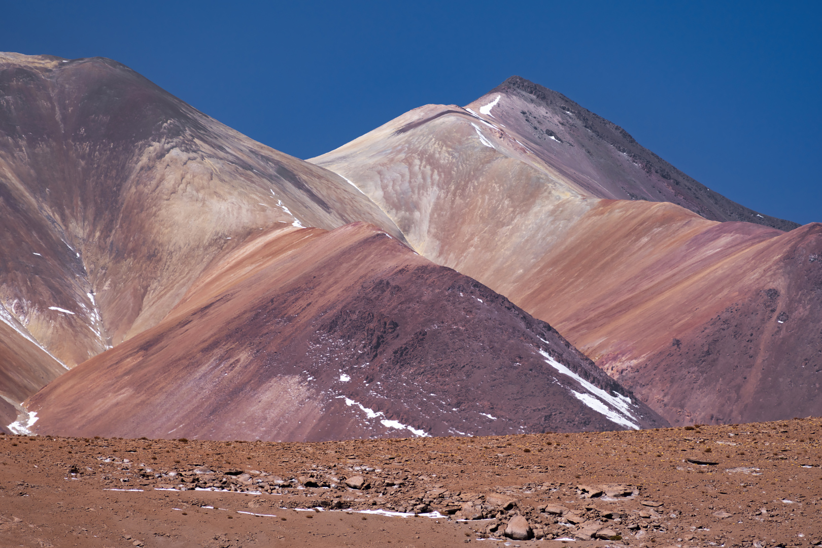 atacama impressionen #26