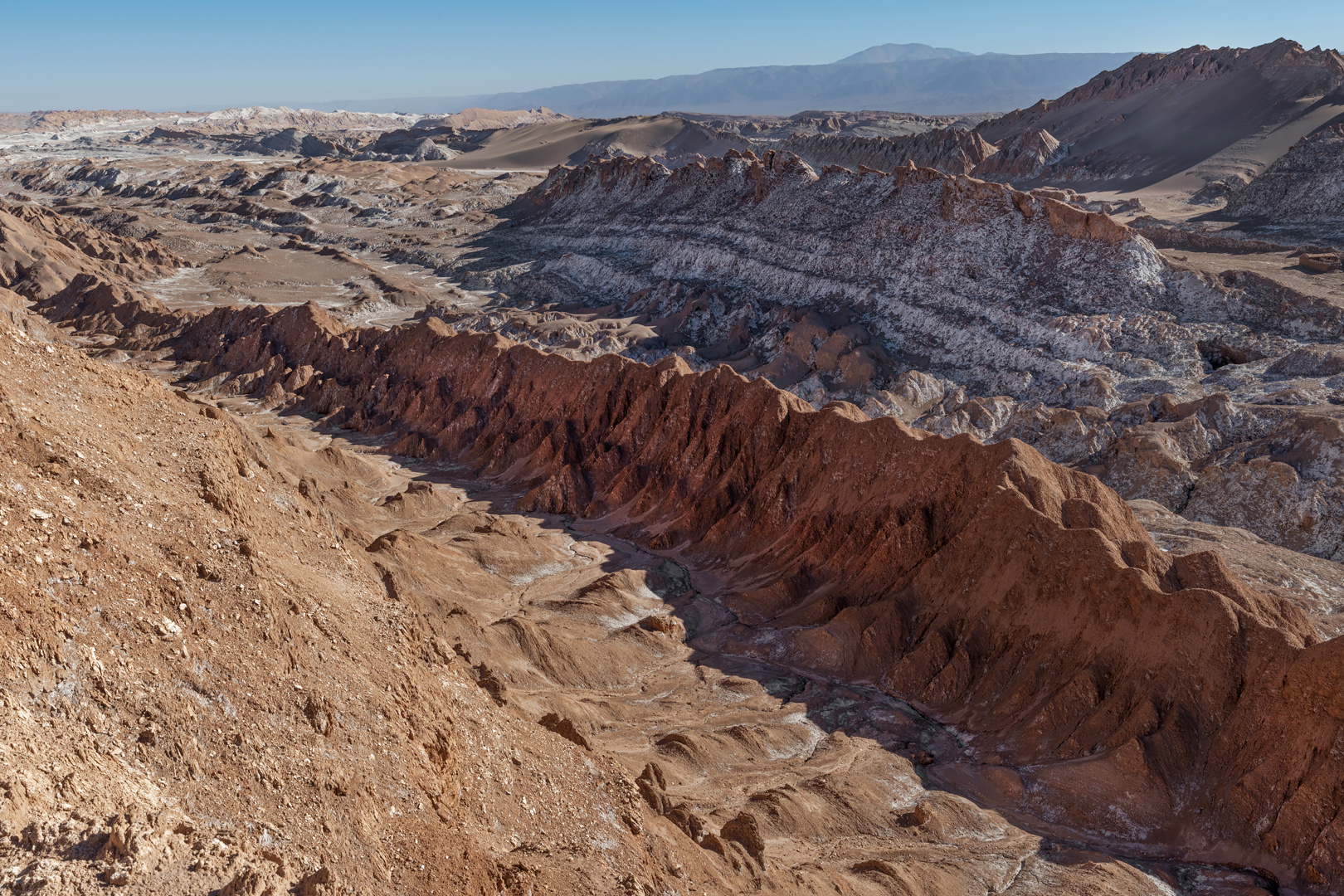 atacama impressionen #55