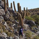 atacama impressionen #60