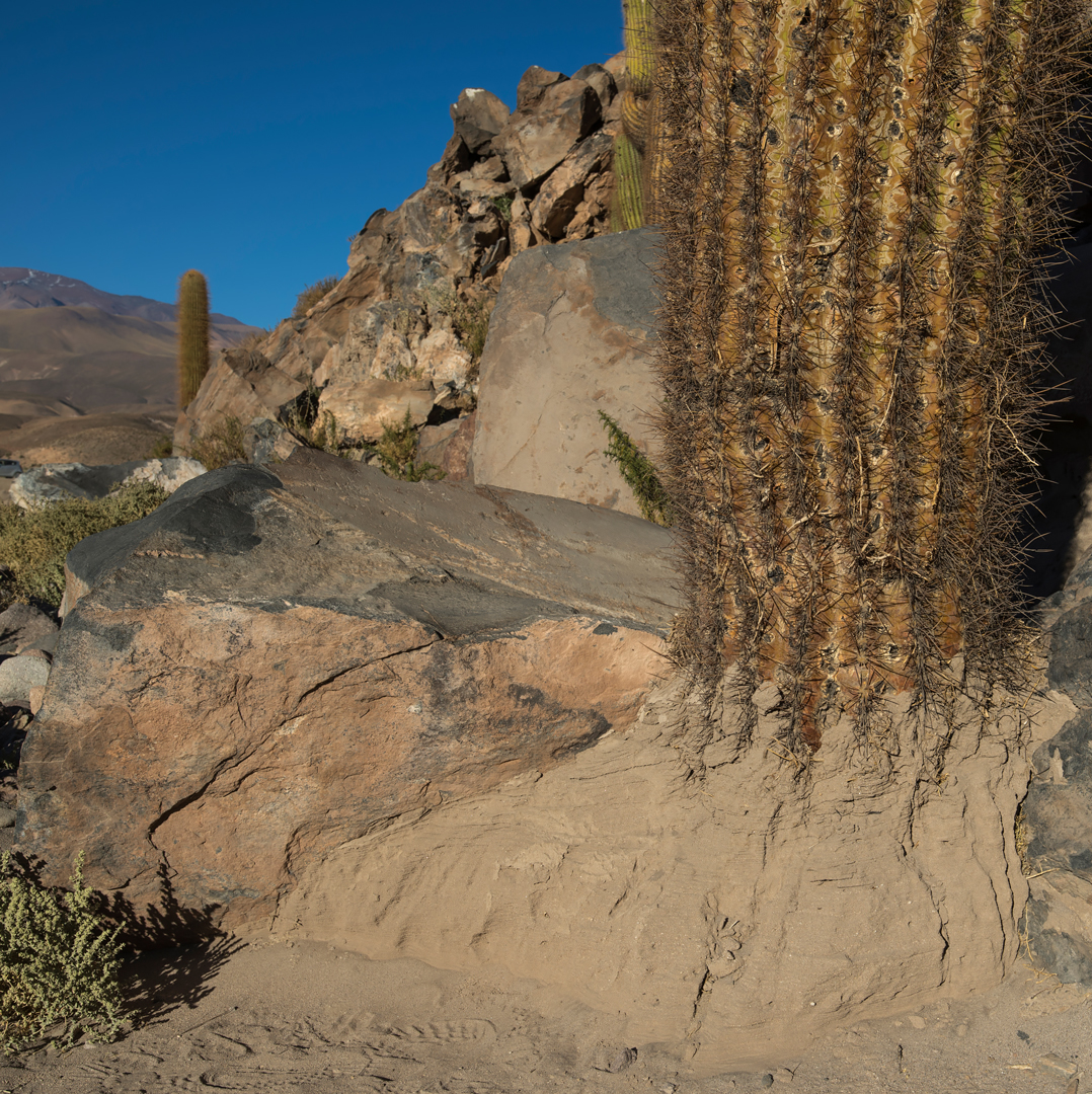 atacama impressionen #63