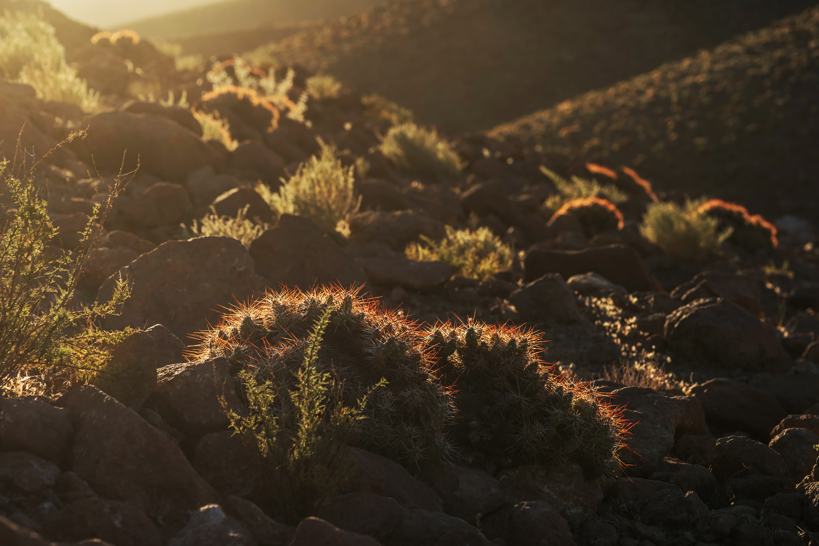 atacama impressionen #64