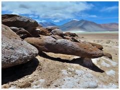 Atacama Impressionen