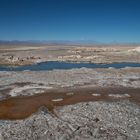 atacama impressionen #70