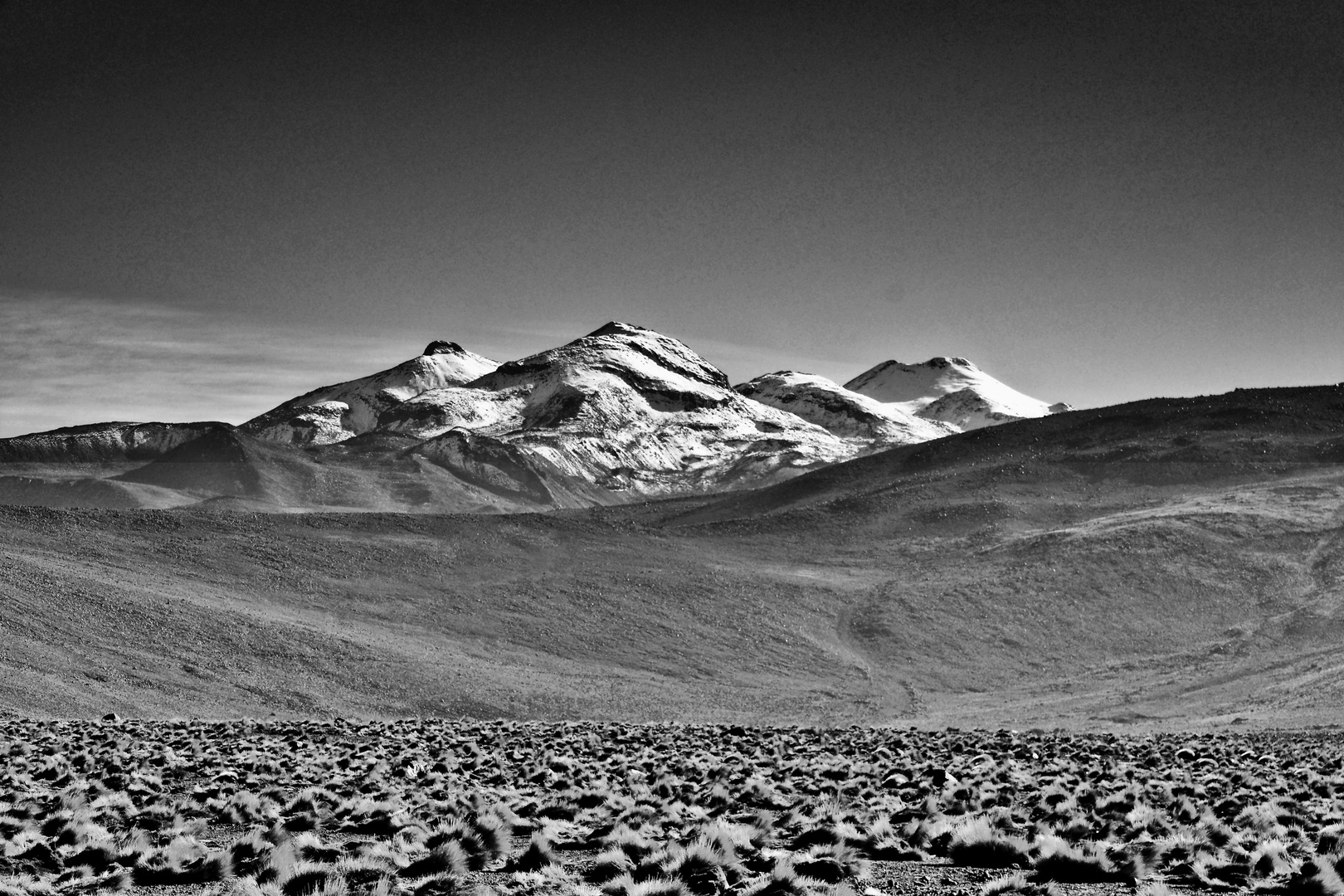 Atacama s/w