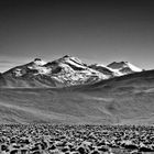 Atacama s/w