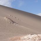 Atacama Valle Luna 2