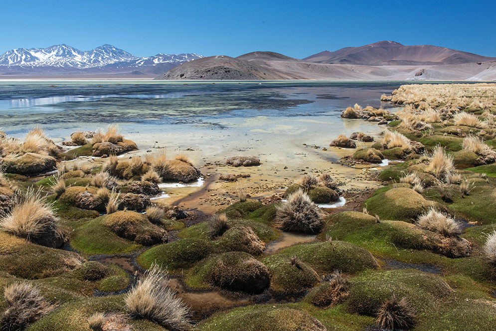 Atacama - Vorgeschmack