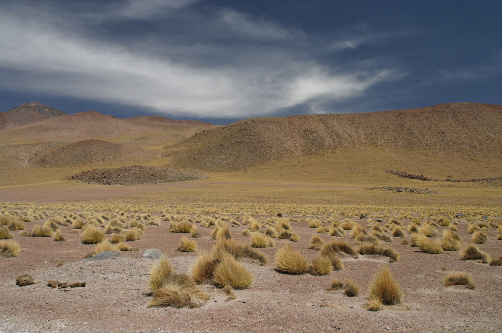 Atacama Wüste Chile - Auf dem Weg zu den Geysieren "El Tatio"