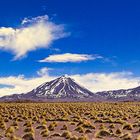 Atacamawüste im Panorama