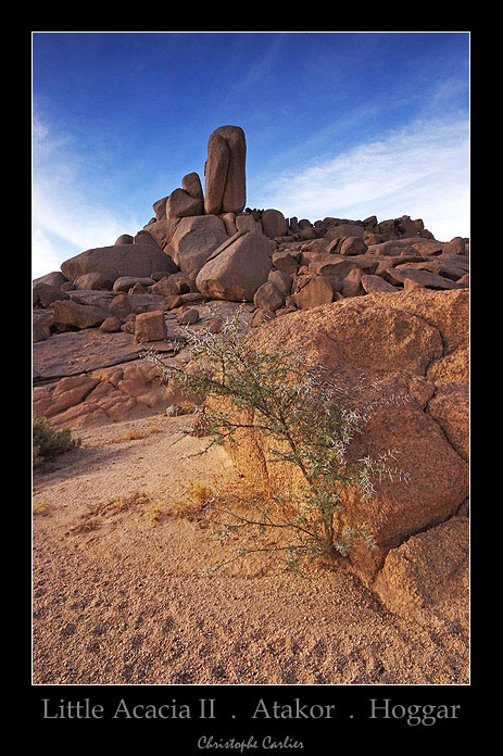 Atakor . Hoggar . Sahara . Algérie