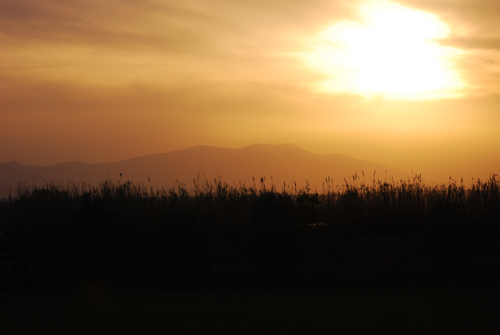 atardece en el moncayo