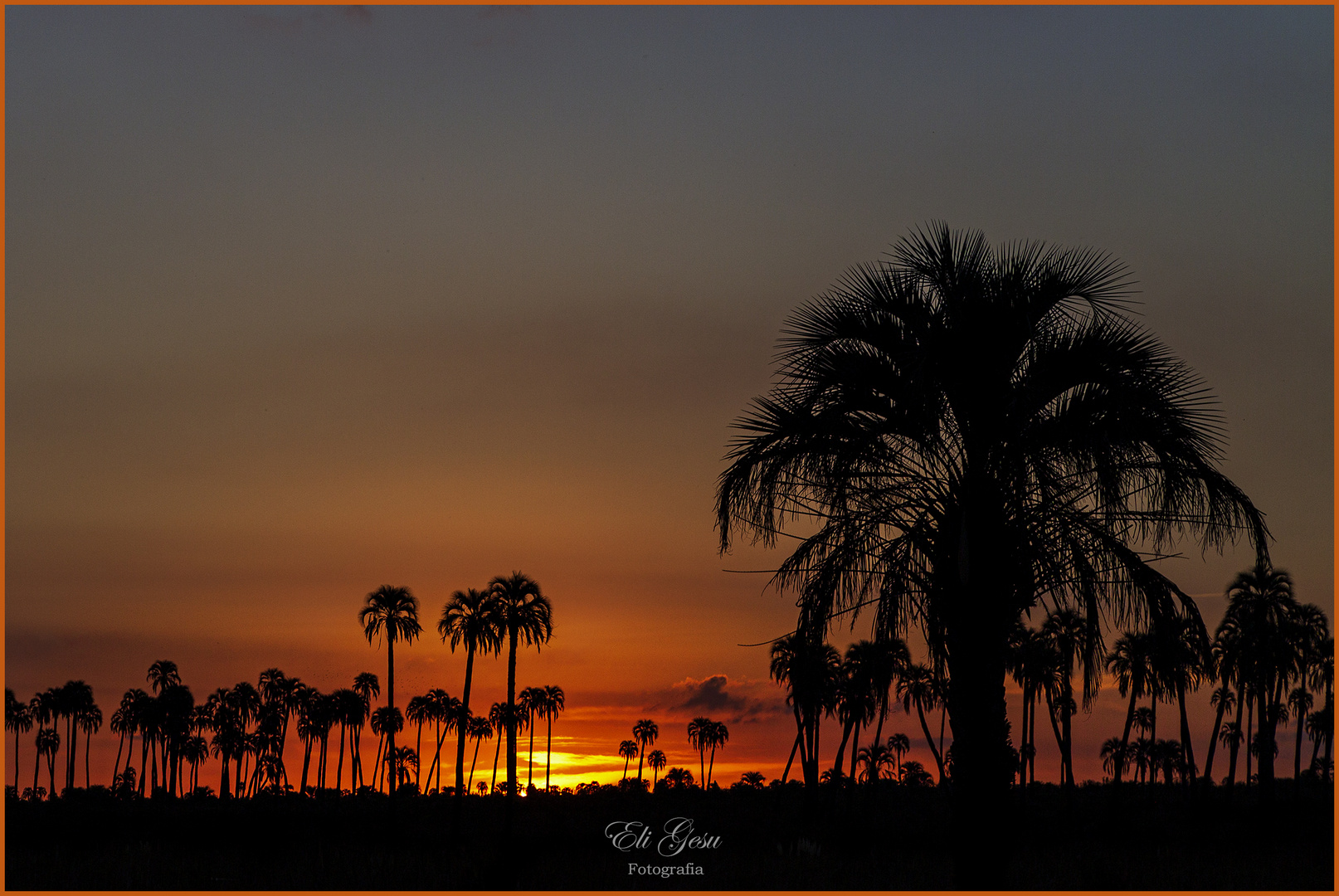 Atardece en el Palmar