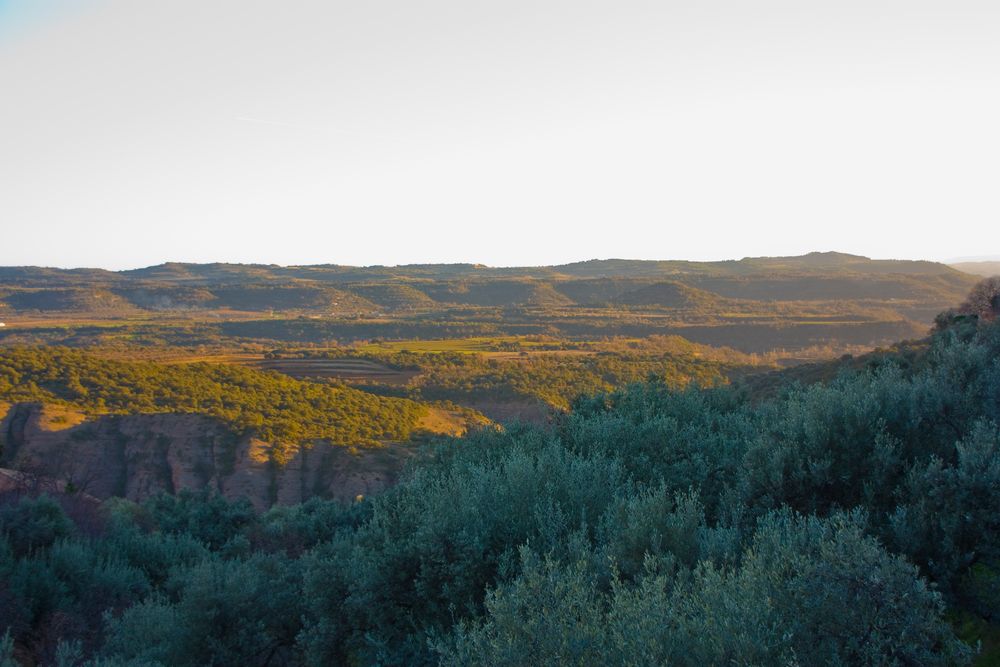 Atardece en la Sierra de Guara (Huesca)