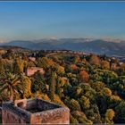 atardece sobre el bosque de la Alhambra