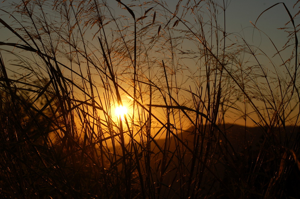 Atardecer