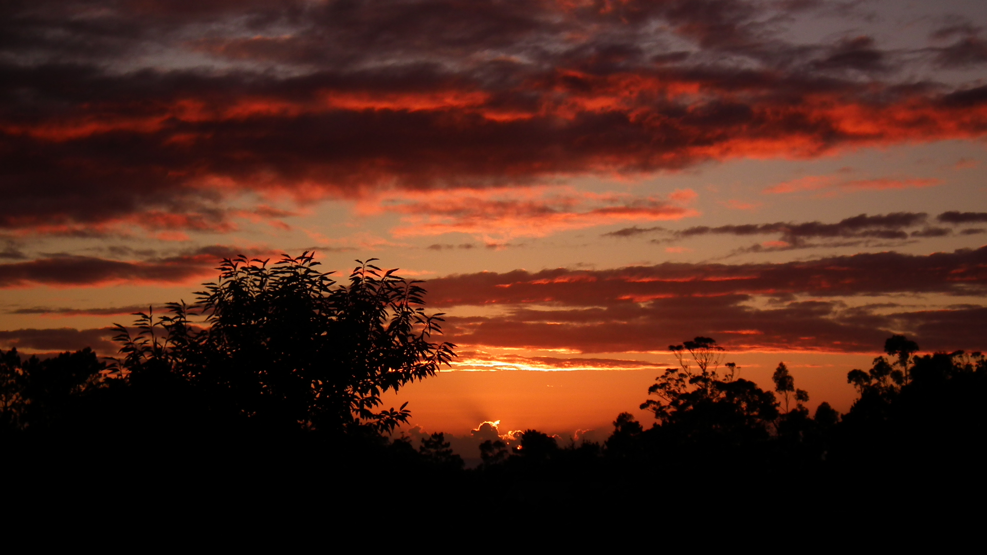 Atardecer