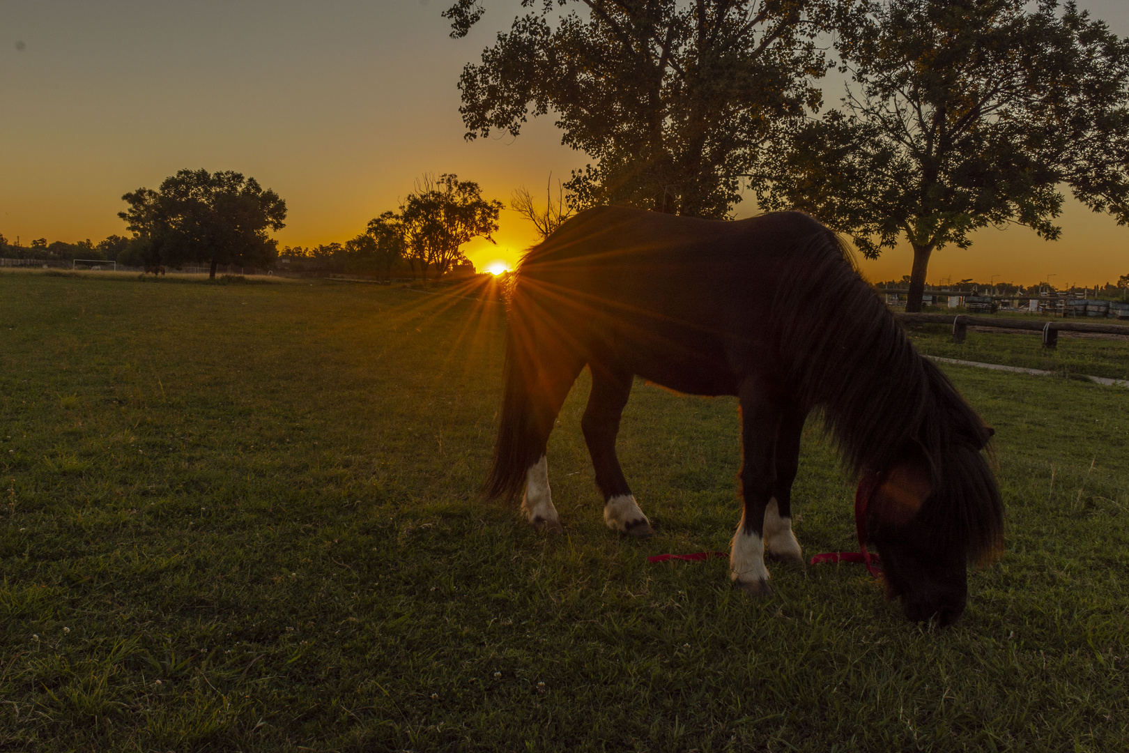 ATARDECER