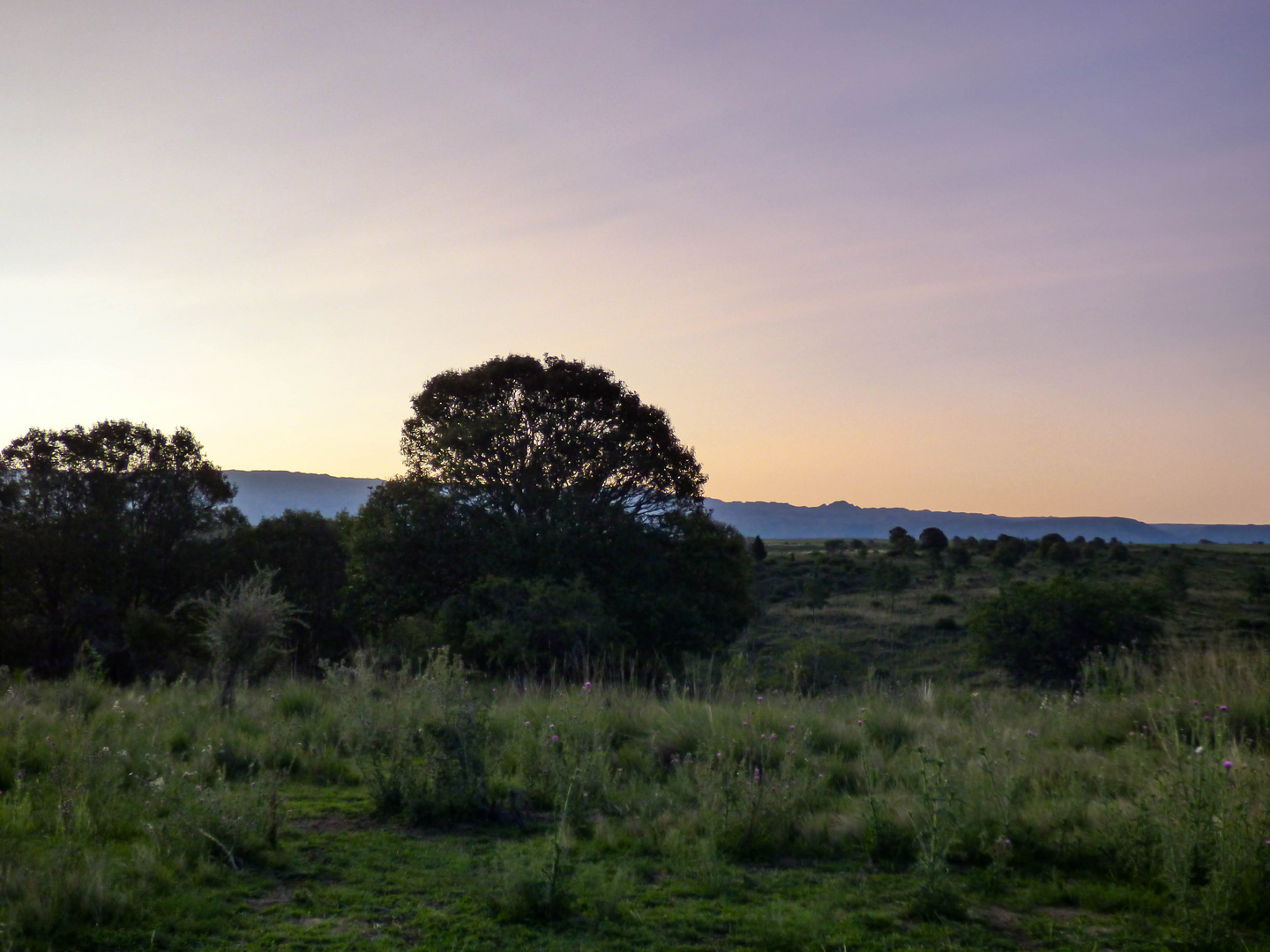 Atardecer