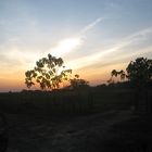 ATARDECER ARAUCA COLOMBIA