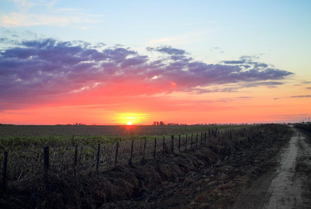 Atardecer argentino